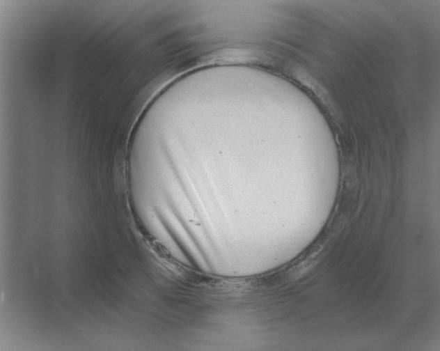 X0000068831473200606021630