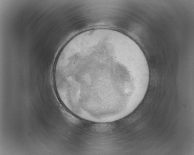 X0000068831474200606021630