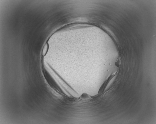 X0000068831475200606021630