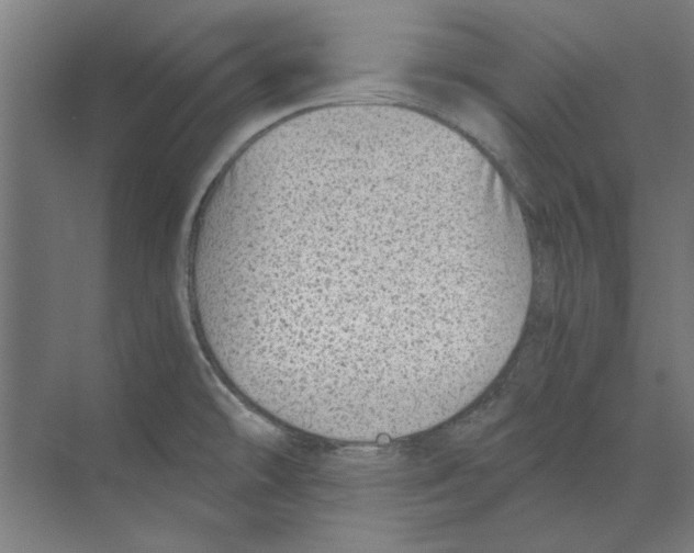 X0000068831478200606021630