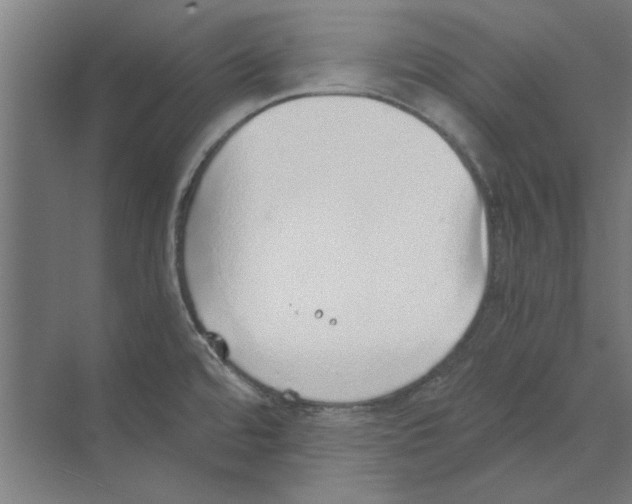 X0000068831480200606021630