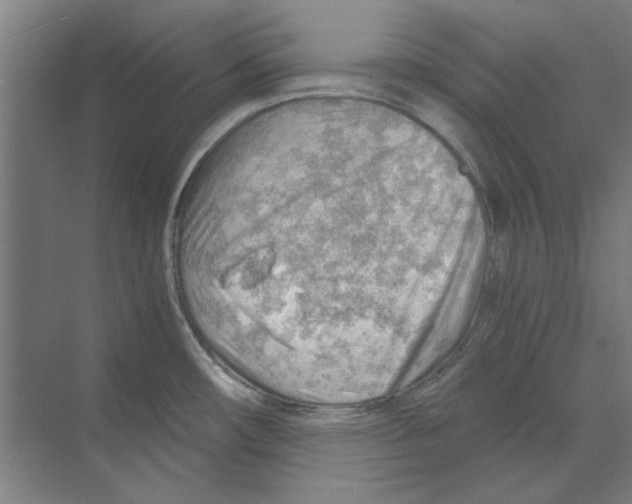 X0000068831482200606021630