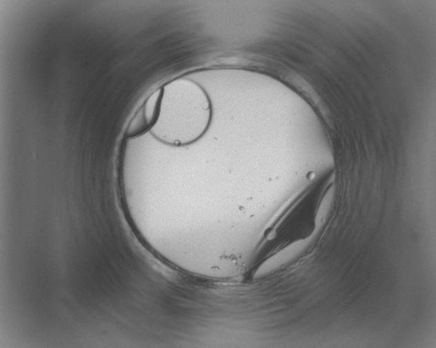 X0000068831483200606021630