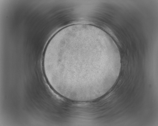 X0000068831484200606021630