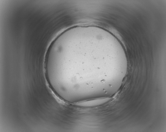 X0000068831485200606021630