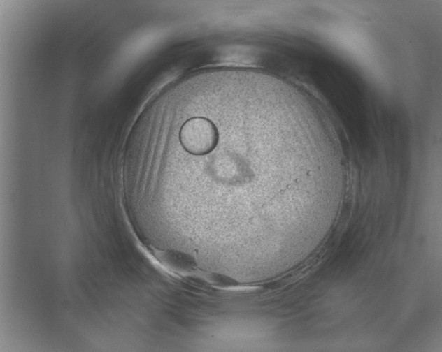 X0000068831487200606021630