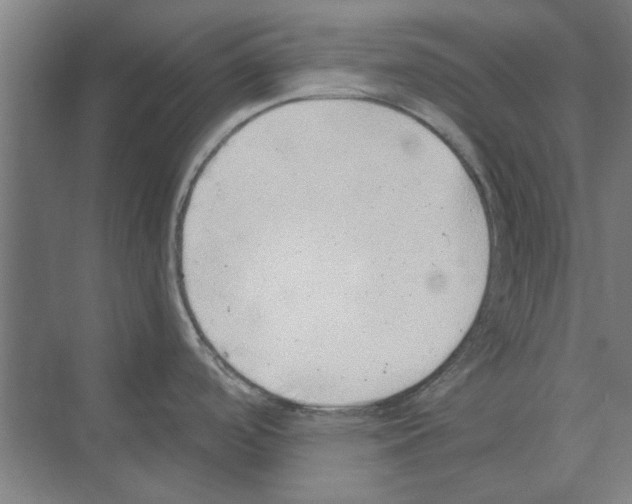 X0000068831488200606021630