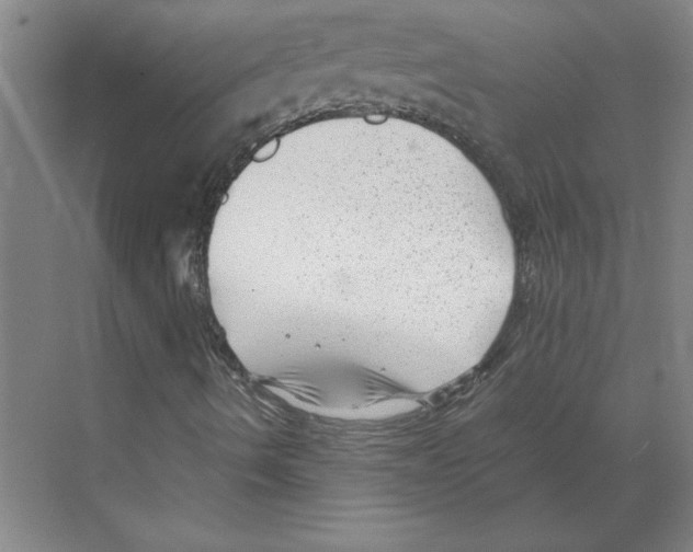 X0000068831490200606021629