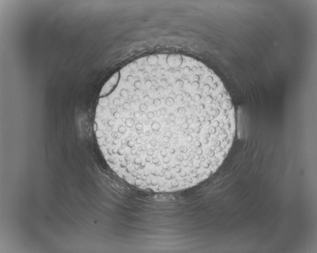 X0000068831491200606021629