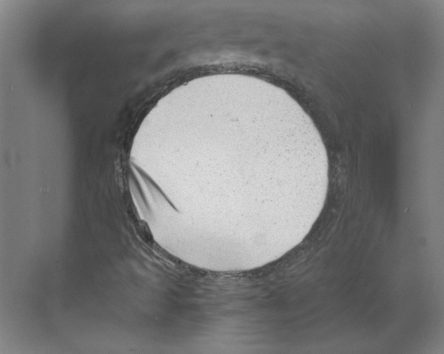 X0000068831493200606021629