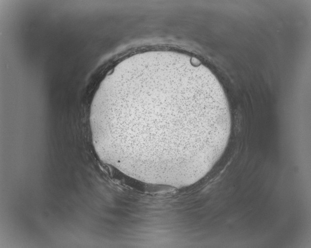 X0000068831494200606021629