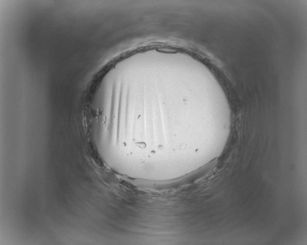 X0000068831496200606021629