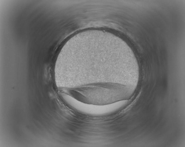 X0000068831497200606021629