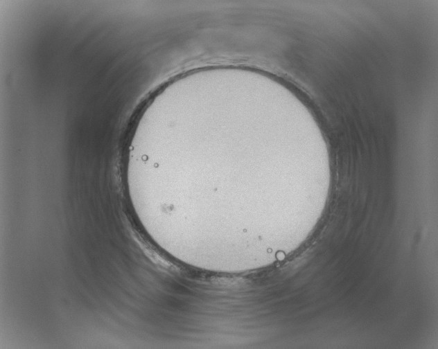 X0000068831498200606021629