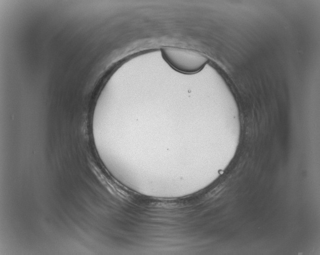 X0000068831499200606021629