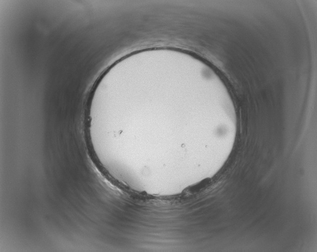 X0000068831500200606021629