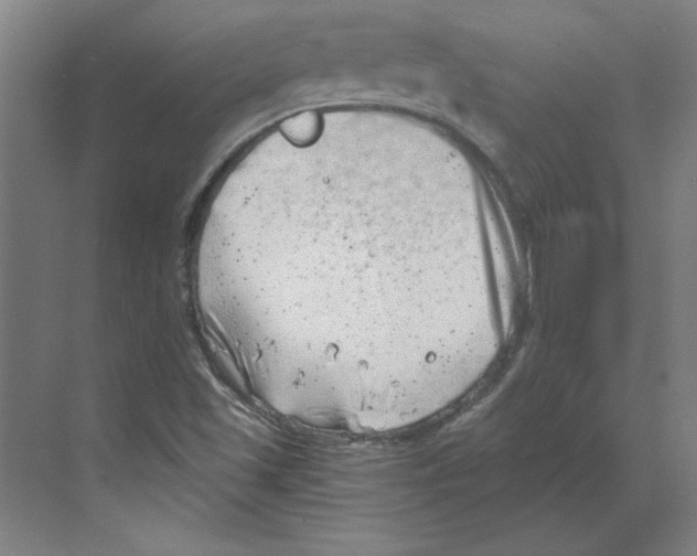 X0000068831501200606021629