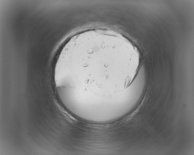 X0000068831502200606021629