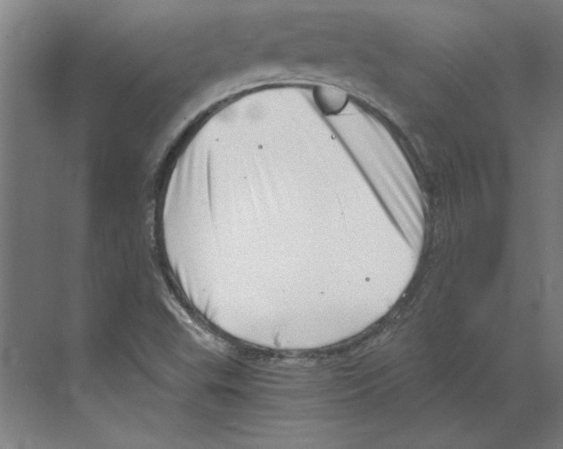 X0000068831503200606021629