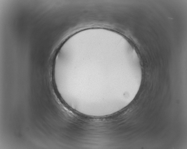 X0000068831504200606021629