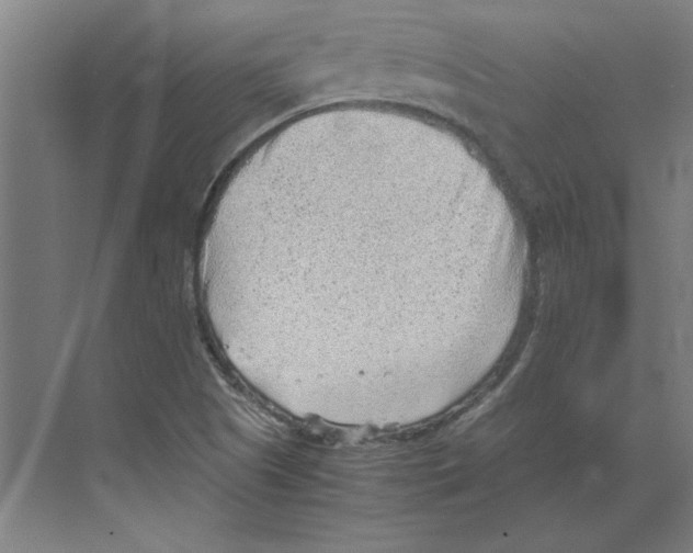 X0000068831505200606021629