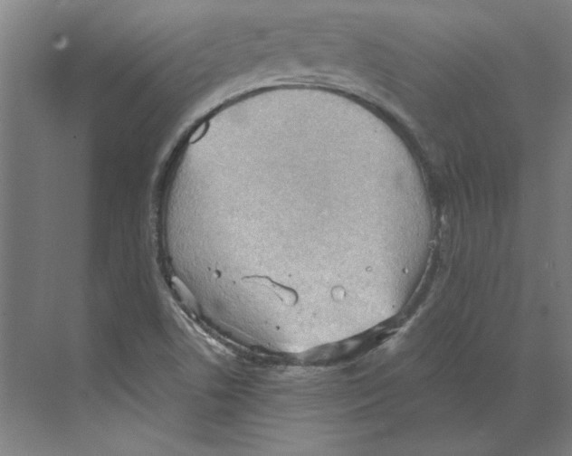 X0000068831506200606021629