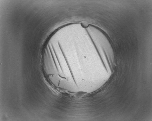 X0000068831507200606021629