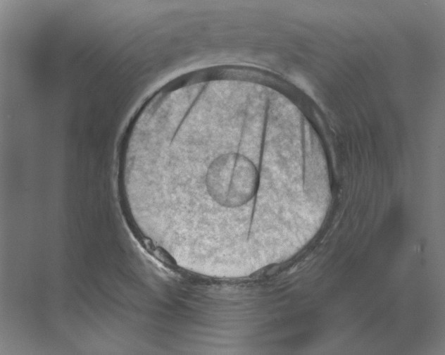 X0000068831508200606021629