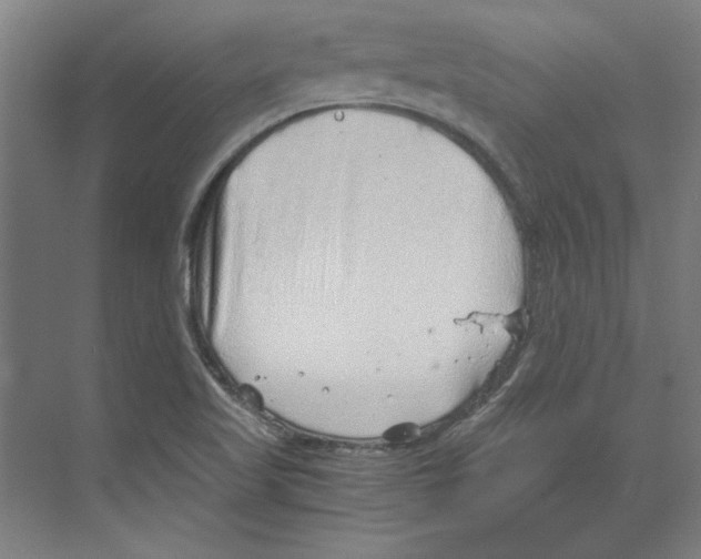 X0000068831509200606021629