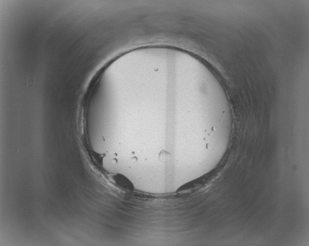 X0000068831510200606021629