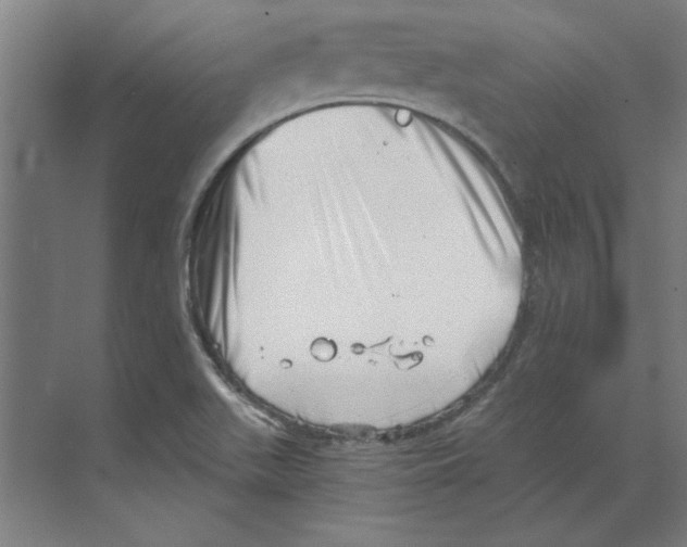 X0000068831511200606021629