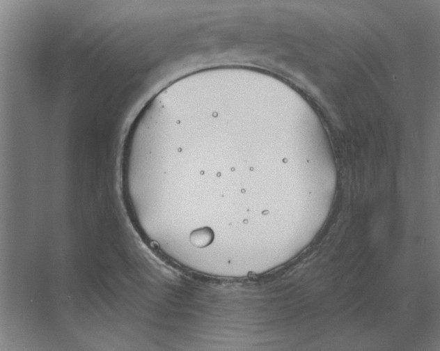 X0000068831512200606021629