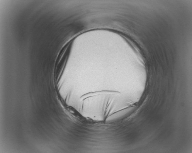 X0000068831513200606021629