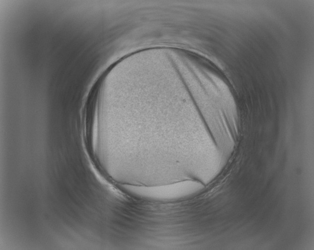 X0000068831515200606021629