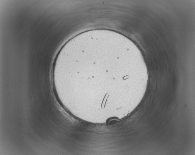 X0000068831516200606021629