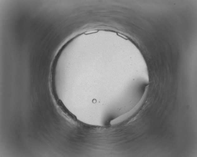 X0000068831518200606021629