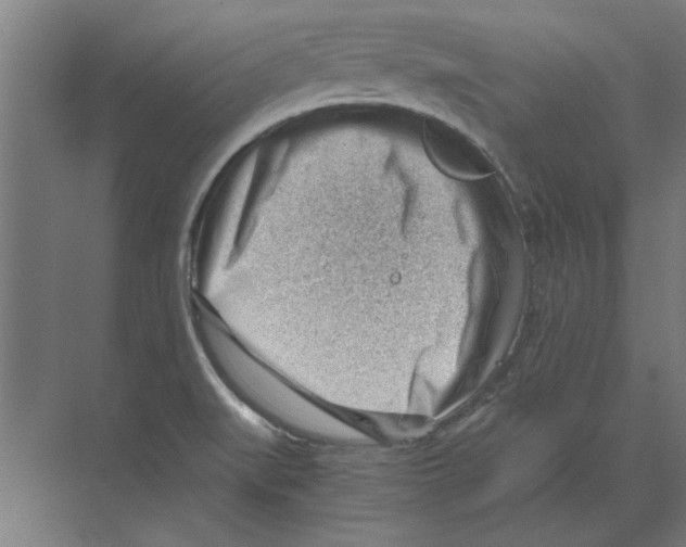 X0000068831519200606021629