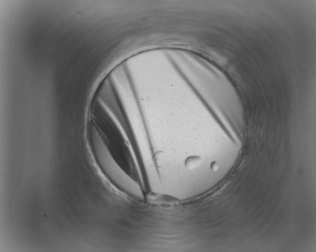 X0000068831520200606021629