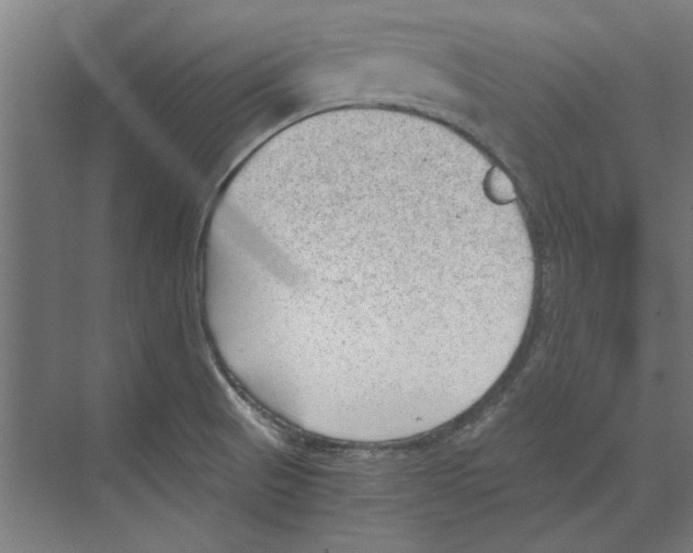 X0000068831521200606021629