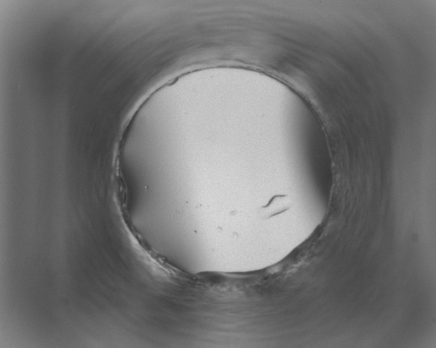 X0000068831524200606021629