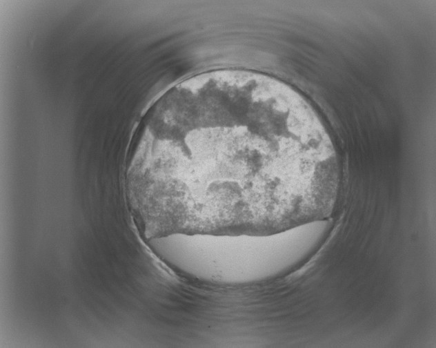 X0000068831529200606021630