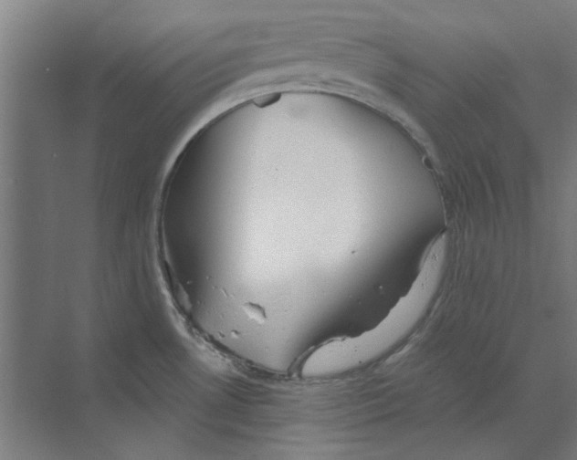 X0000068831530200606021630