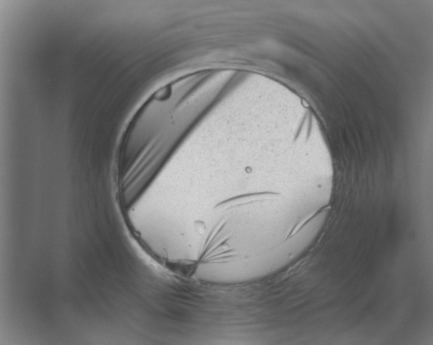 X0000068831531200606021630