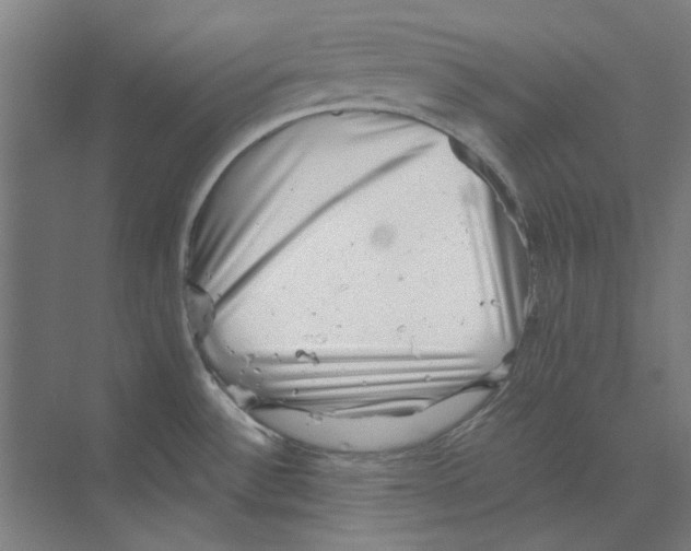 X0000068831532200606021630