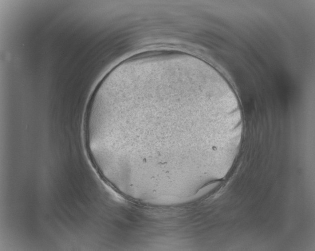 X0000068831533200606021630