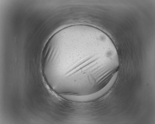 X0000068831534200606021630