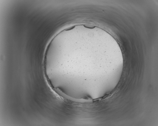 X0000068831536200606021630