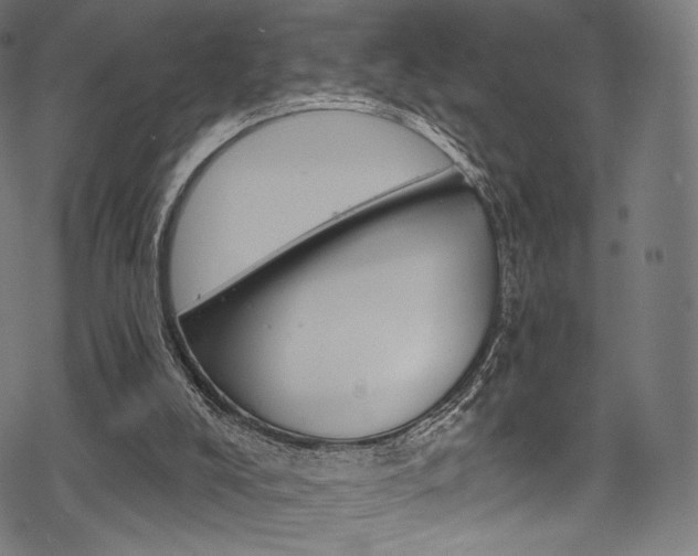 X0000068840008200605050955