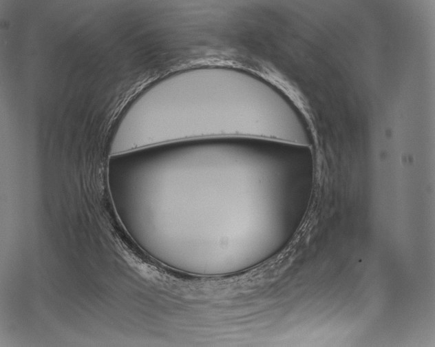 X0000068840009200605050955