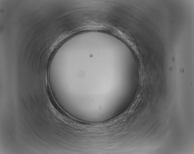 X0000068840011200605050955